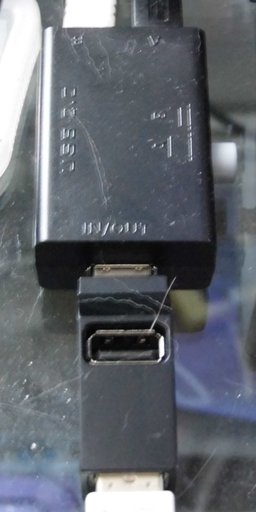 P1090747rrcs.JPG