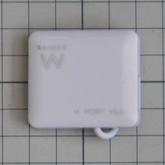 P1030412rcs.JPG