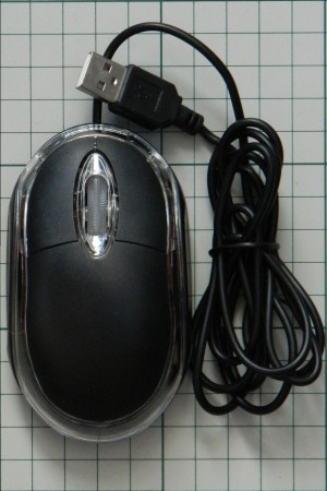 DSCN1503crs.jpg