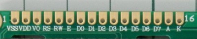 DSCN1715rcds.jpg