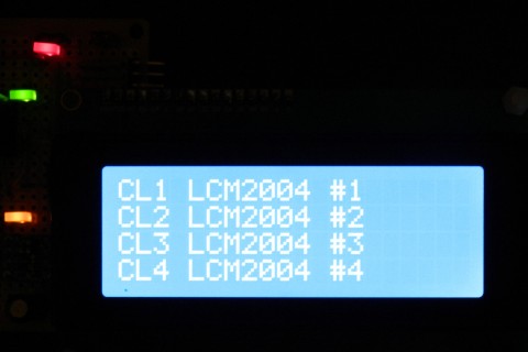 DSCN1876rcs.jpg