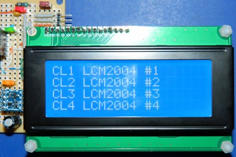 DSCN1877rcs.jpg