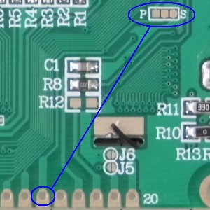 P1010096cssa.jpg
