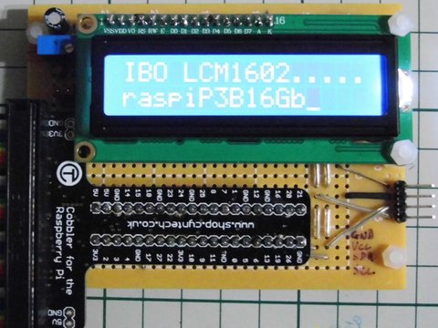 P1030961rcs.JPG